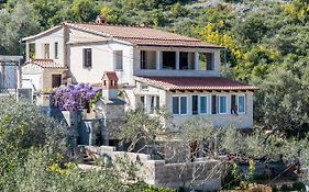 Apartments By The Sea Cove Donja Kruscica - Donja Krusica, Solta - 15636